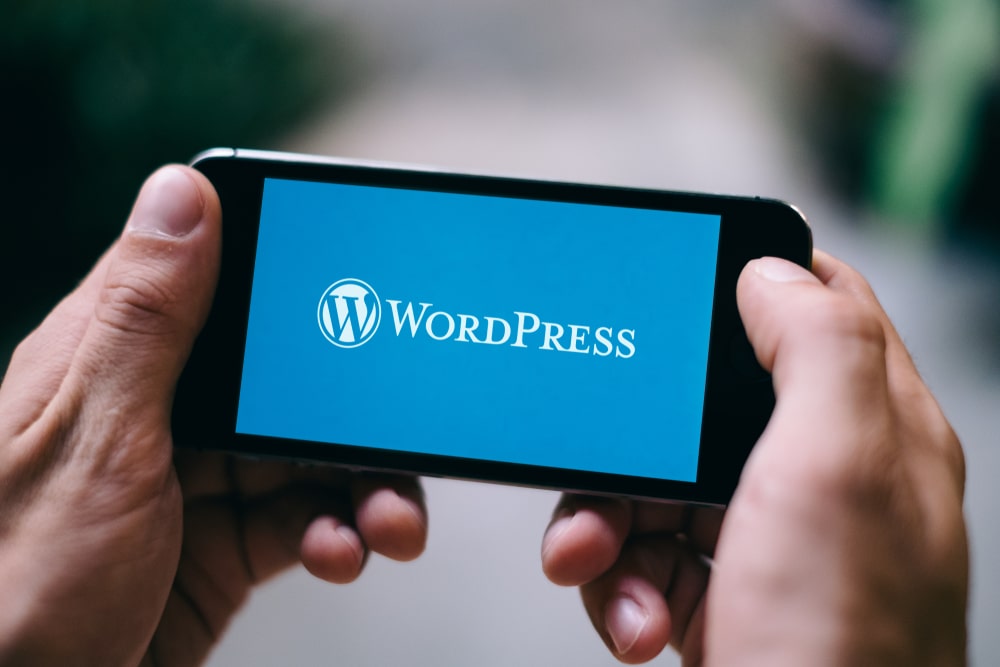 WordPress website mobile user